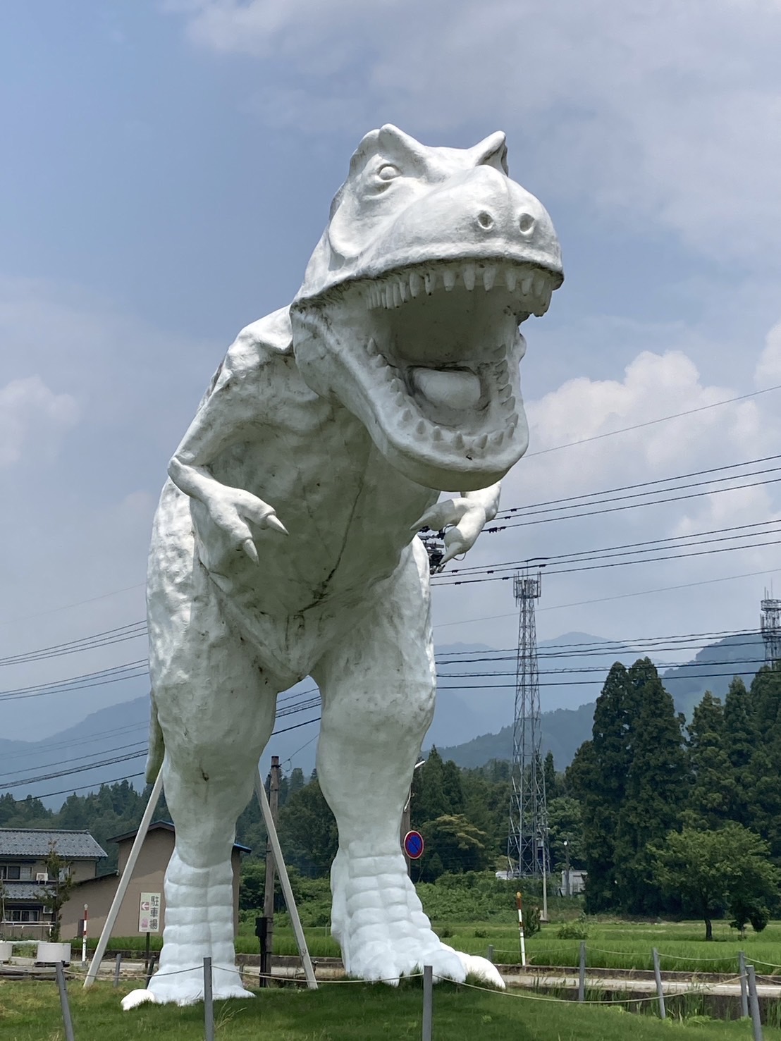Read more about the article サラオ、恐竜王国へ！